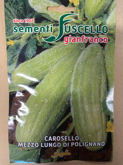 Cucumber Carosello Mezzo Lungo di Polignano (Barese) (37-99)