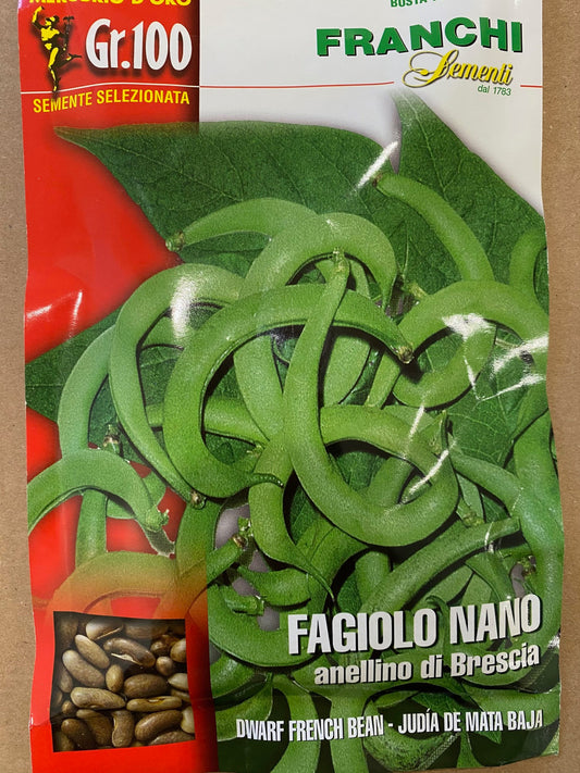 Bush Bean Anellino di Brescia (59-29)