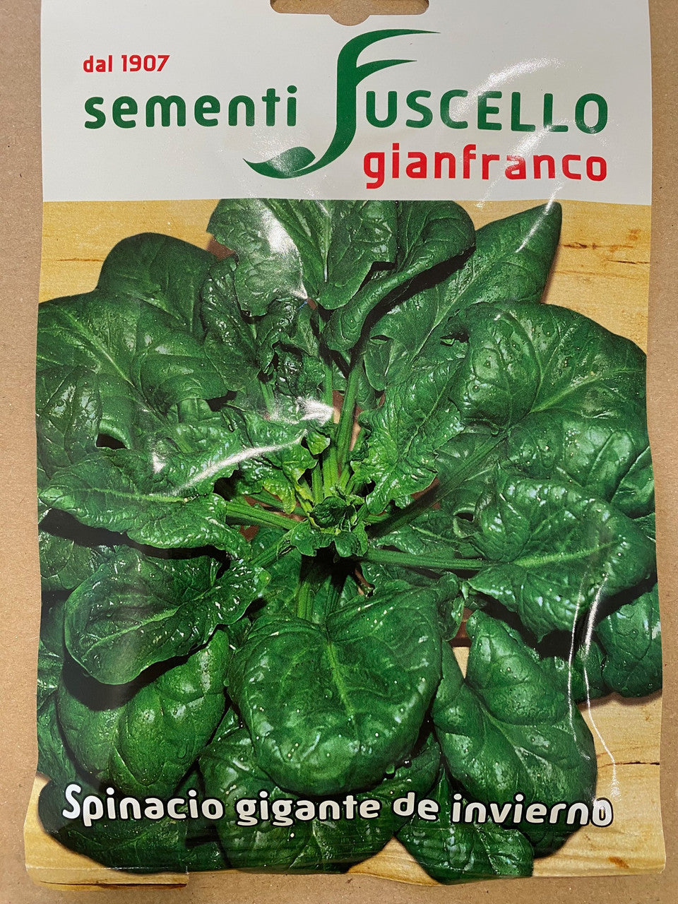 Spinach Gigante de Invierno - Gianfranco Fuscello Sementi (127-98)