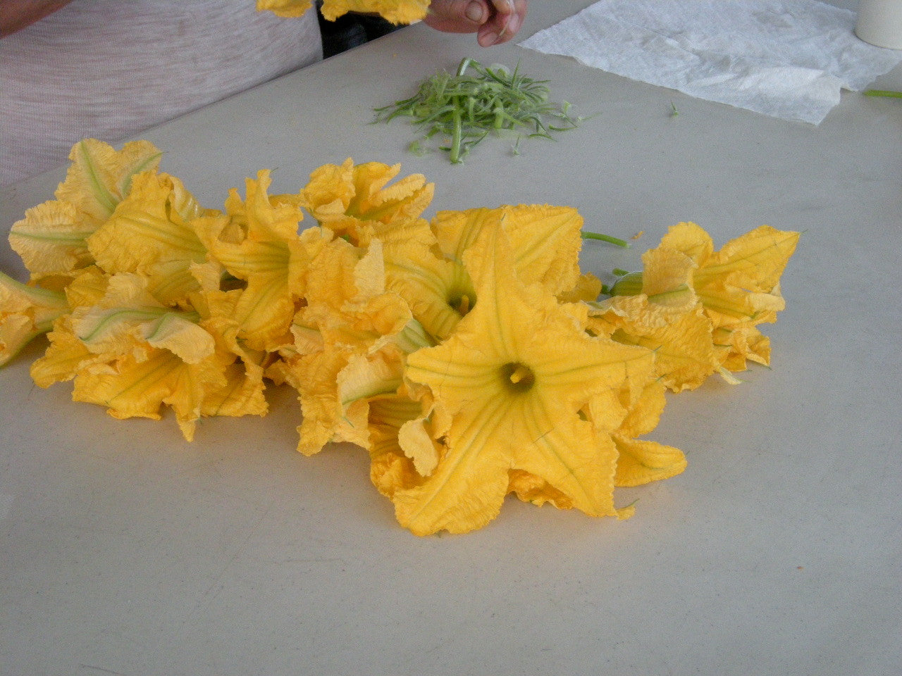 Lunga di Napoli flowers.  Cathy says it is like eating a steak.