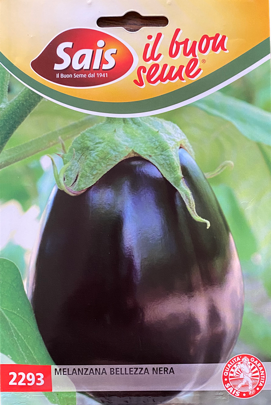 Eggplant Belezza Nera (90-2293)