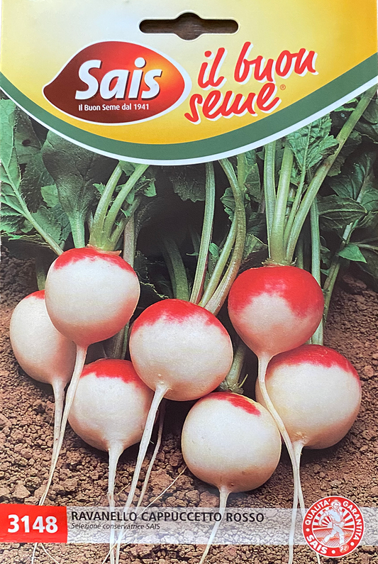 Radish Cappuccetto Rosso (112-3148)