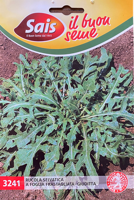 Arugula Selvetica a Foglia Frastagliata (115-3241)