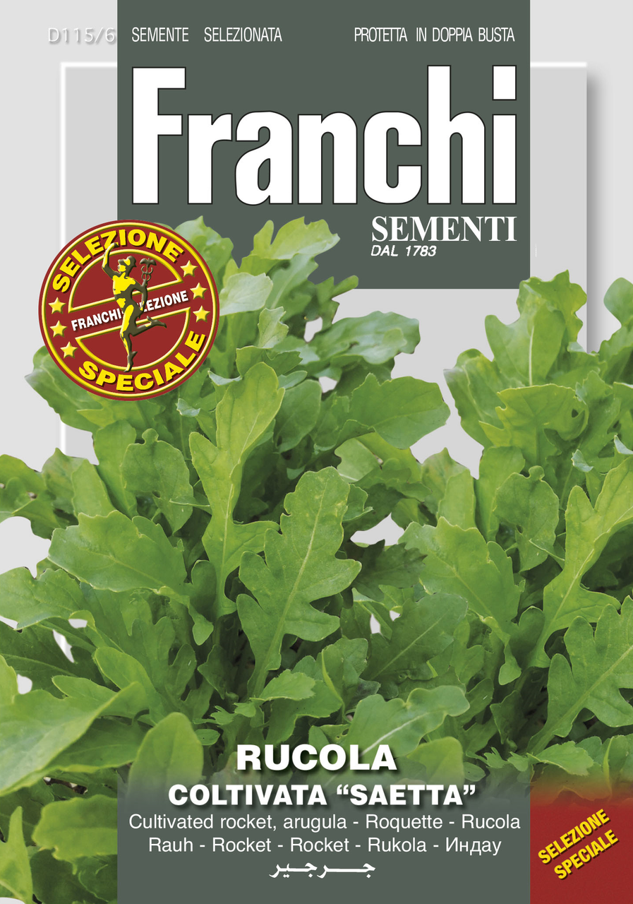 Arugula/Rucola Coltivata - Saetta (115-6)