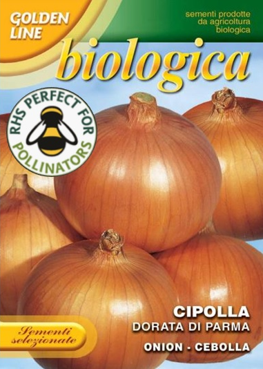 Onion Density / Dorata di Parma -  Certified Organic (43-21B)