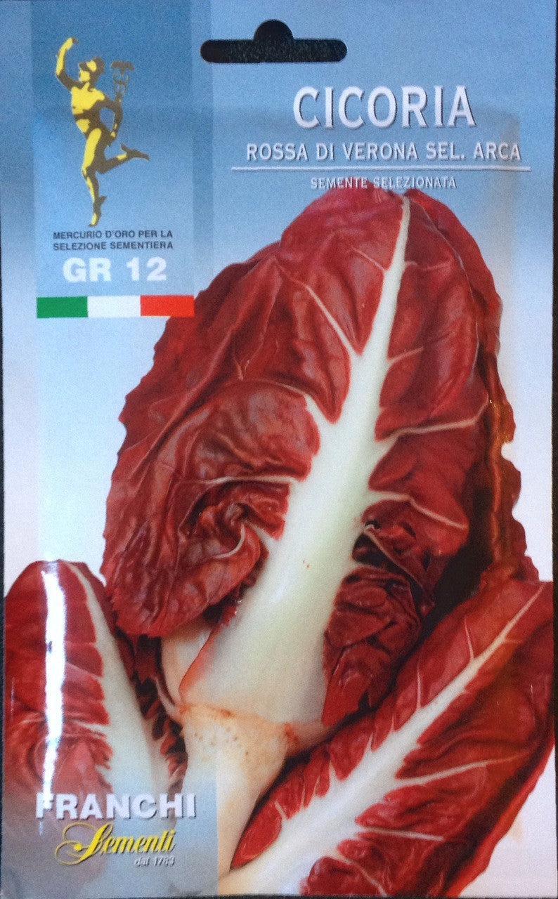 Radicchio Rossa Verona sel Arca (40-32)