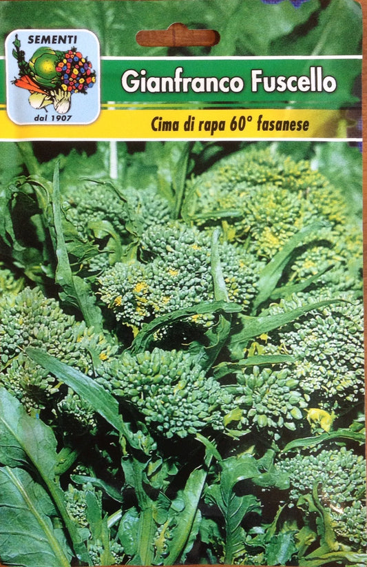 Cima di Rapa Sessantina (60 days) Cima Grosso Fasanese (41-97)