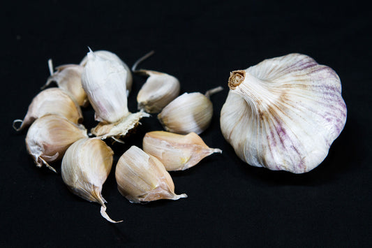 Garlic Sicilian Artichoke - Softneck