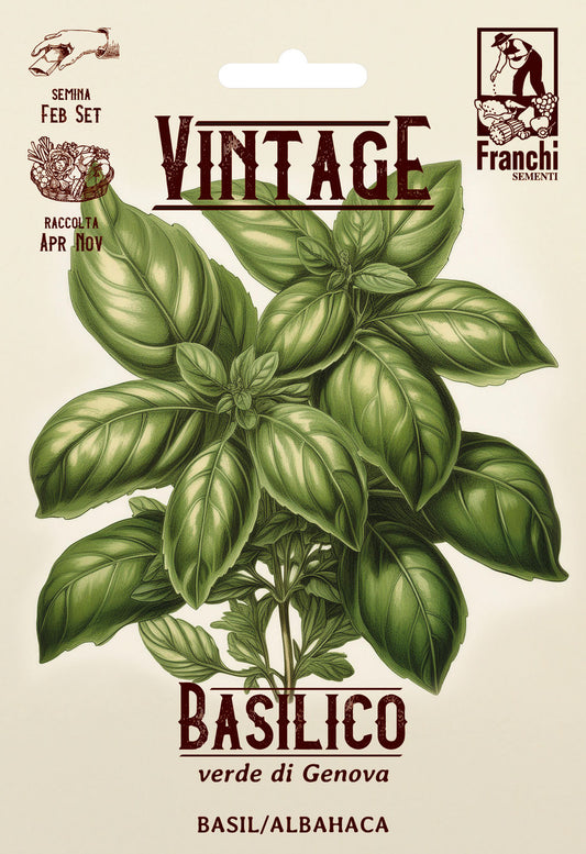 Vintage Basil from Genova