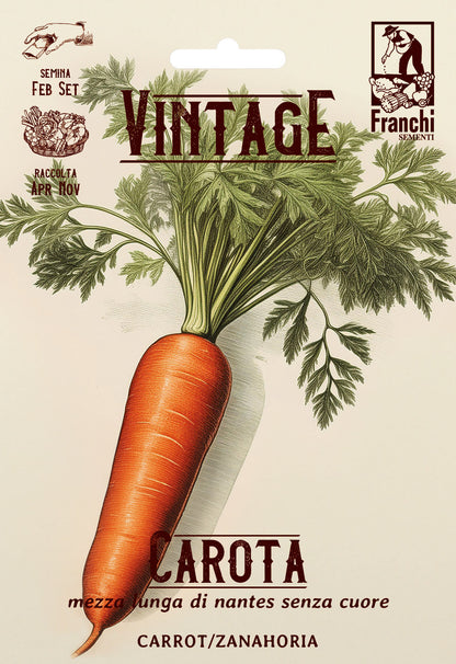 Vintage Carrot Half Length Nantes