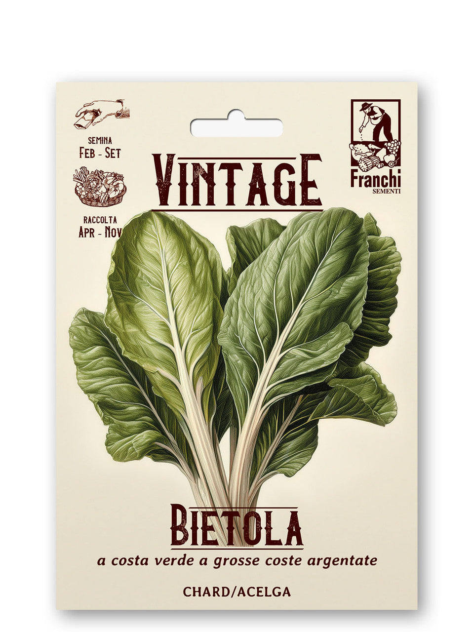 Vintage Swiss Chard White Silver