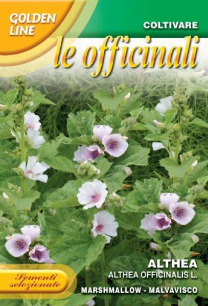 Marshmallow - Althea Officinalis (2-60)