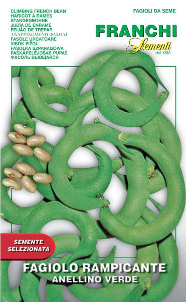 Bean Anellino Verde (57-17)