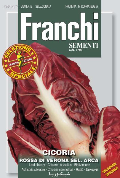 Radicchio Rossa Verona sel Arca (40-32)