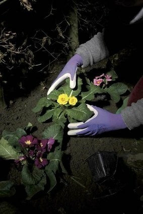 Gardening Gloves  (GG)