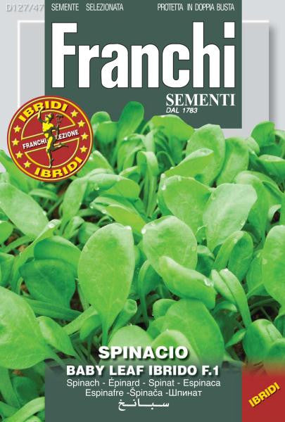 Spinach Hybrid Baby Leaf (127-47)