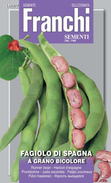 Pole Bean Spagna A Grano Bicolore (55-7)