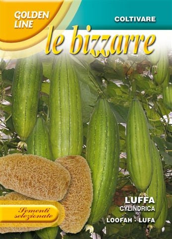 Luffa/ Loofah (87-40)