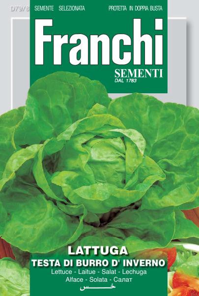 Lettuce Testa di Burro D'Inverno (79-8)