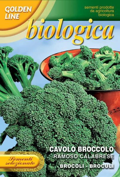 Broccoli - Ramoso Calabrese Organic  (25-23B)