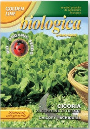 Chicory Zuccherina di Trieste Organic (40-18B)