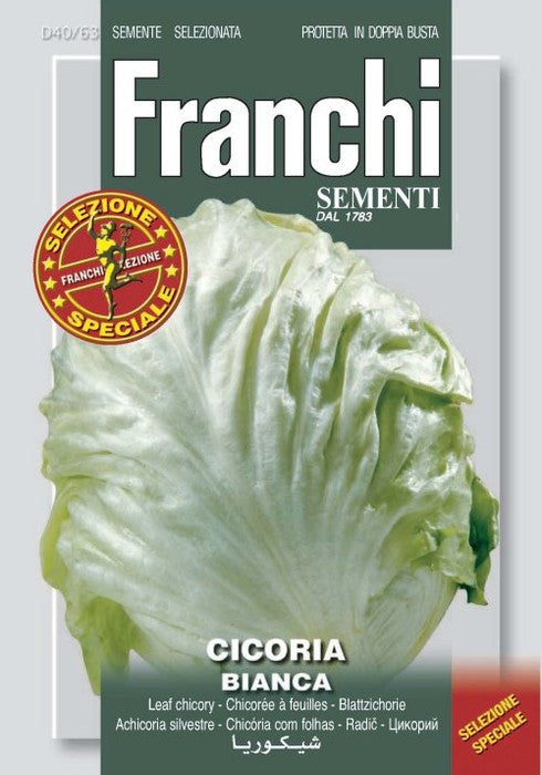 Chicory Bianca Invernale (40-63)