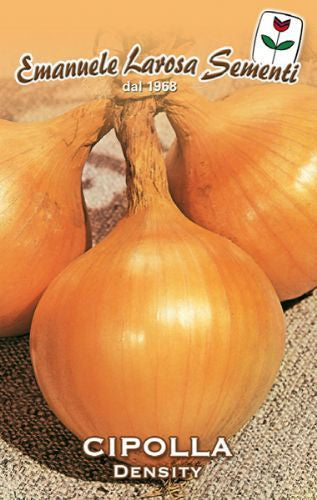 Onion Density / Dorata di Parma -  Certified Organic (43-21B)