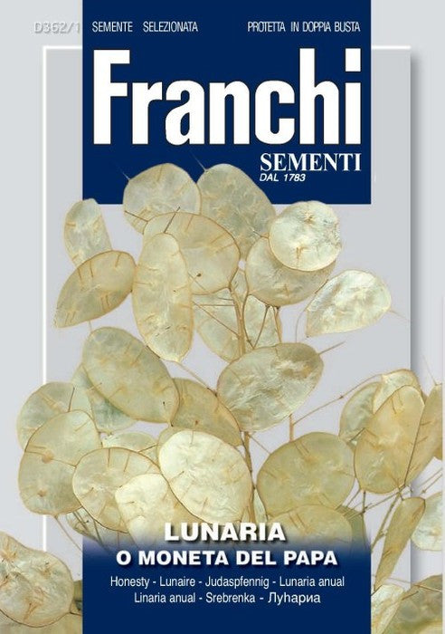 Lunaria (362-1)