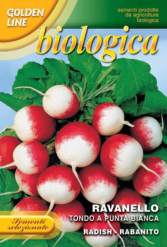 Radish Gaudry 2 Organic (112-3B)