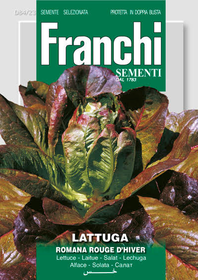 Lettuce Red Romaine / Rouge d’Hiver (84-23)