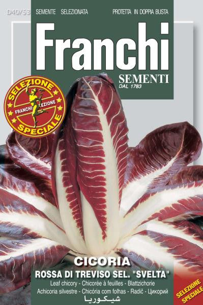 Radicchio Rossa Treviso sel Svelta (40-53)