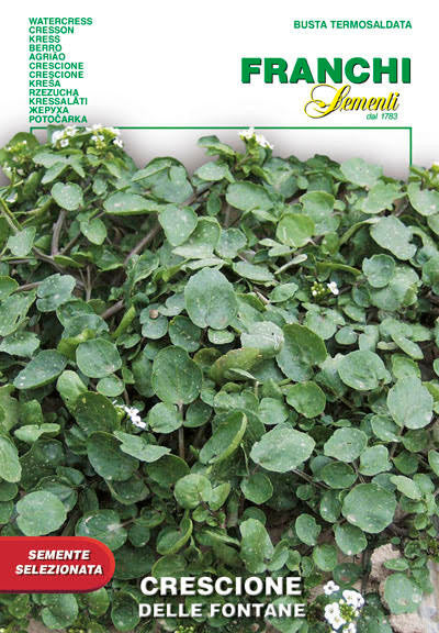 Watercress (46-2)