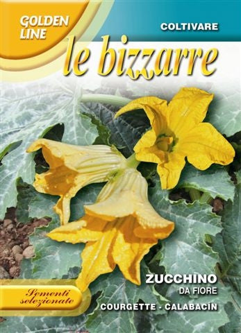 Zucchino da Fiore / San Pasquale - Edible Flower (146-57)